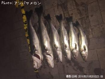 �����Х�