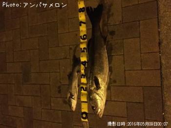 �����Х�