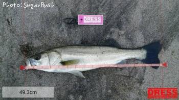 �����Х�