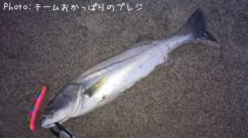 �����Х�