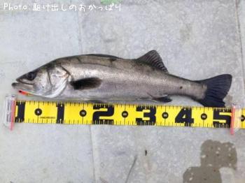 �����Х�