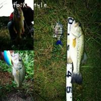 ¥Ö¥é¥Ã¥¯¥Ð¥¹