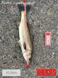 �����Х�