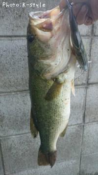 �֥�å��Х�