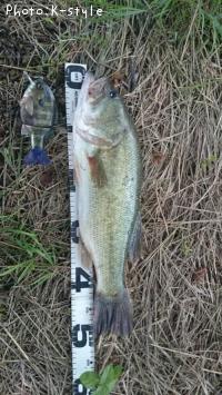 �֥�å��Х�