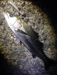 �����Х�