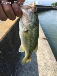 �֥�å��Х�