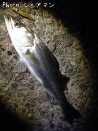 �����Х�