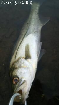 �����Х�