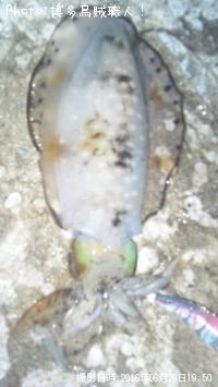 �����ꥤ��