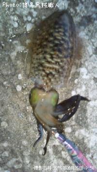 �����ꥤ��