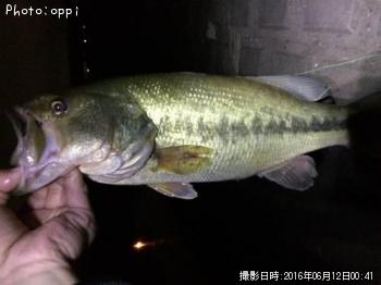 �֥�å��Х�