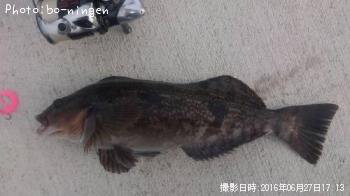 �����ʥ�