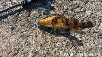 �����Υ���Х�