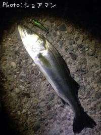 �����Х�