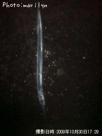 ¥«¥Þ¥¹¤ß¤¿¤¤¤Êµû