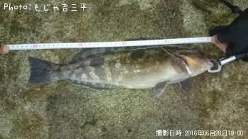 �����ʥ�