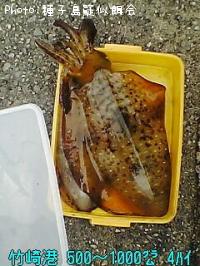 ¥¢¥ª¥ê¥¤¥«