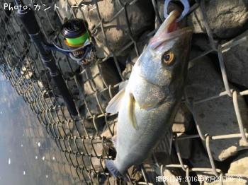 �����Х�