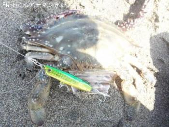 ���ˡ�Ʊ��������ɤ��