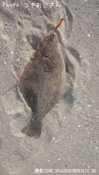 �ҥ��