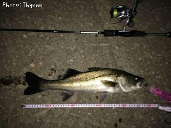 �����Х�