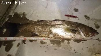 �����Х�