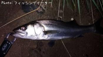 �����Х�