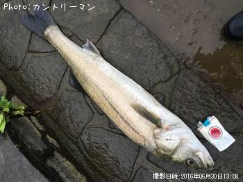 �����Х�