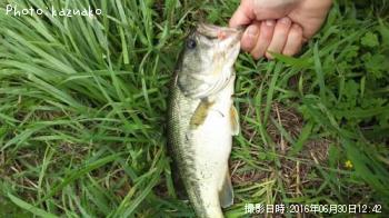 ¥Ö¥é¥Ã¥¯¥Ð¥¹