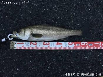 �����Х�