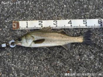 �����Х�