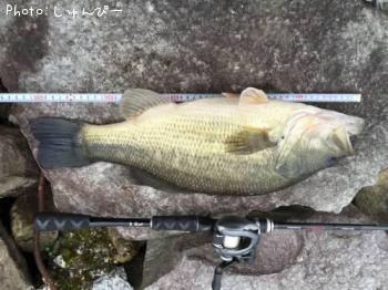 �֥�å��Х�