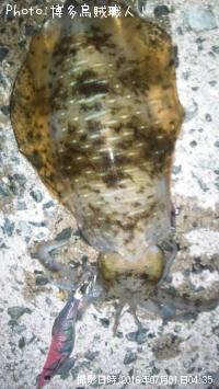 ¥¢¥ª¥ê¥¤¥«