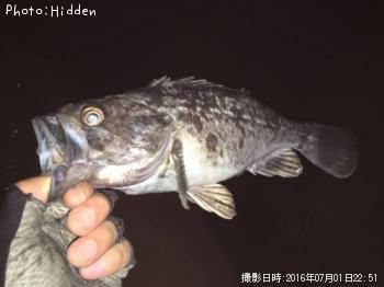 クロソイ