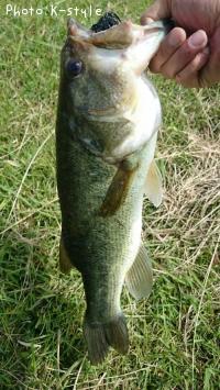 �֥�å��Х�