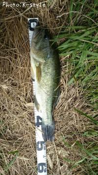 �֥�å��Х�