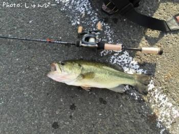 ¥Ö¥é¥Ã¥¯¥Ð¥¹