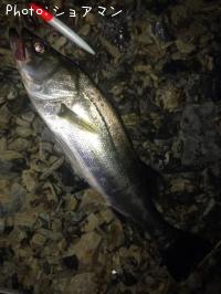 �����Х�