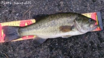 �֥�å��Х�