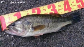 �֥�å��Х�