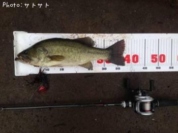 ¥Ö¥é¥Ã¥¯¥Ð¥¹