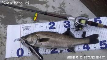 �����Х�