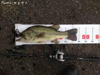 �֥�å��Х�