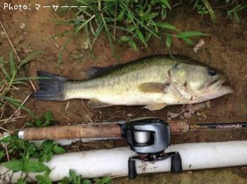 �֥�å��Х�