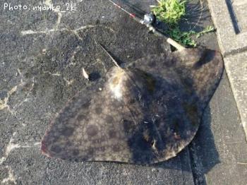 �ĥХ�������