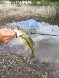 ¥Ö¥é¥Ã¥¯¥Ð¥¹