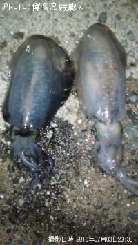 ¥¢¥ª¥ê¥¤¥«