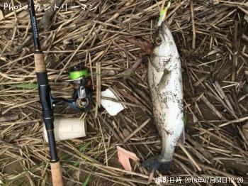 �����Х�