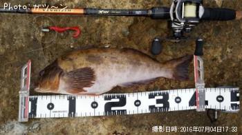 �����ʥ�